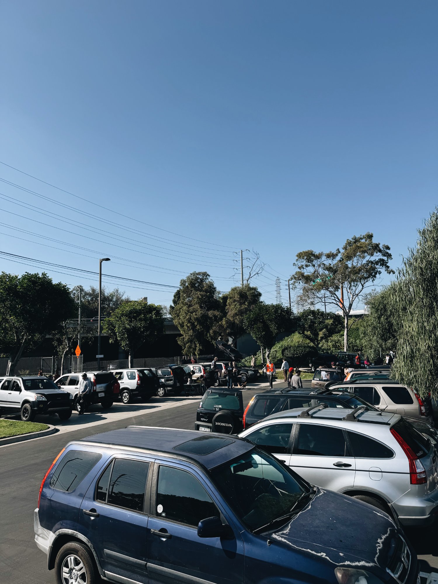 CRVs lined up at Chapter 1